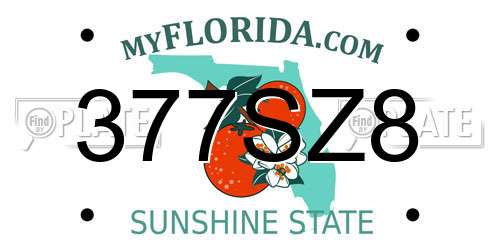 377SZ8 Florida License Plate