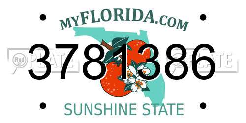 3781386 Florida License Plate