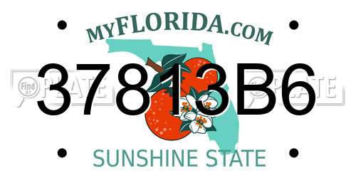 37813B6 Florida License Plate