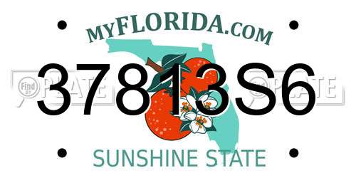 37813S6 Florida License Plate