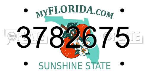 3782675 Florida License Plate