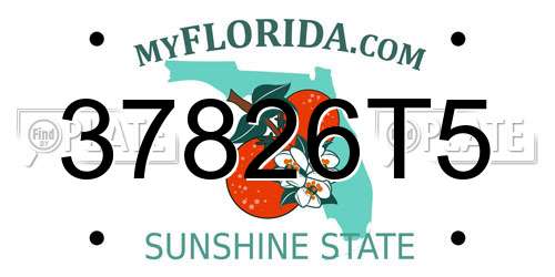 37826T5 Florida License Plate