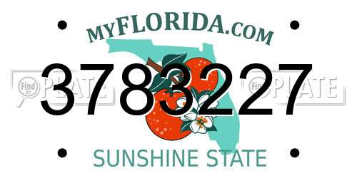 3783227 Florida License Plate