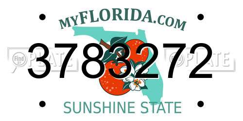 3783272 Florida License Plate