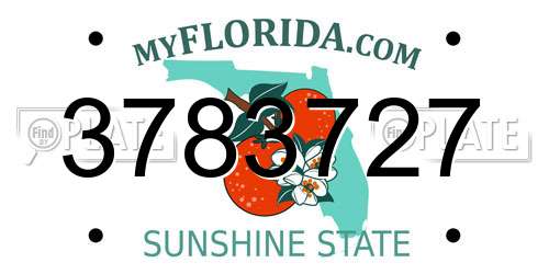 3783727 Florida License Plate