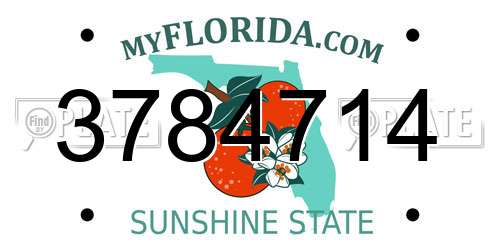 3784714 Florida License Plate
