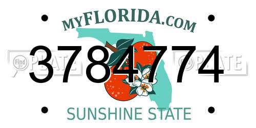 3784774 Florida License Plate