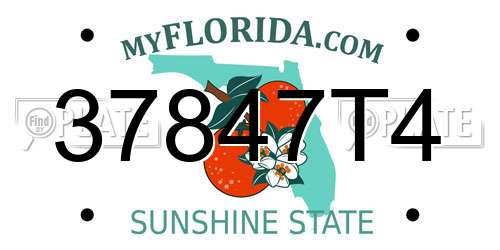 37847T4 Florida License Plate