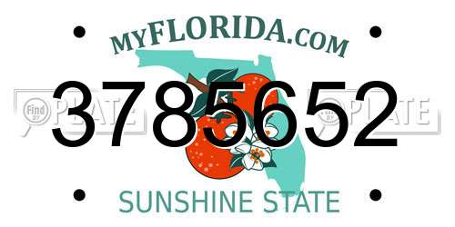 3785652 Florida License Plate