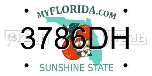 3786DH Florida License Plate