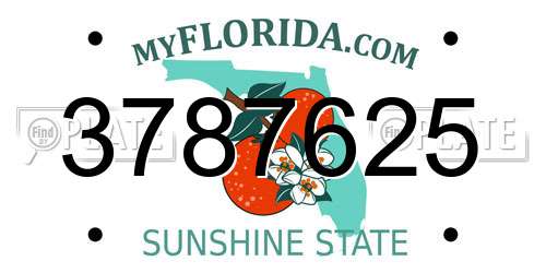 3787625 Florida License Plate