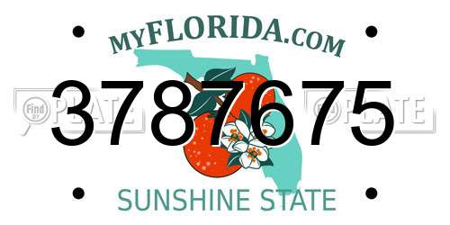 3787675 Florida License Plate