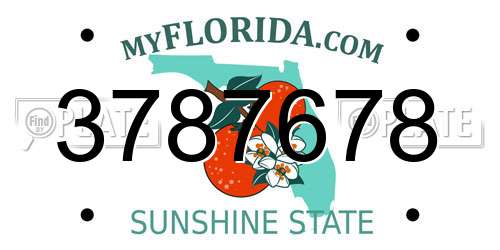 3787678 Florida License Plate