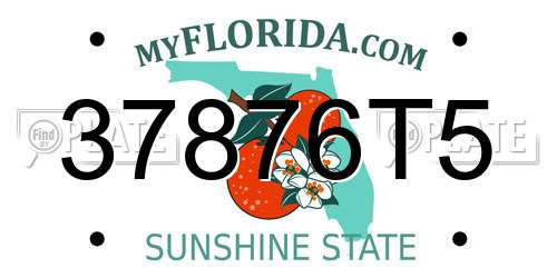 37876T5 Florida License Plate