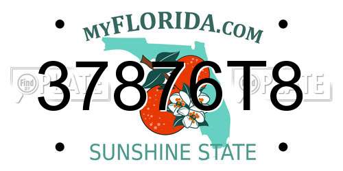 37876T8 Florida License Plate