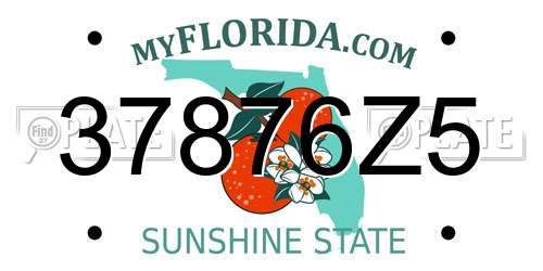 37876Z5 Florida License Plate