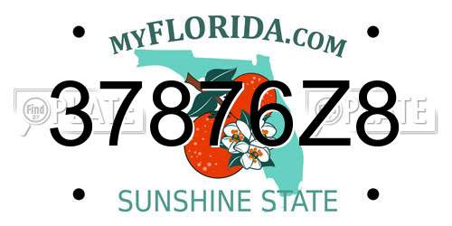 37876Z8 Florida License Plate