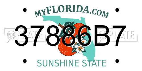 37886B7 Florida License Plate