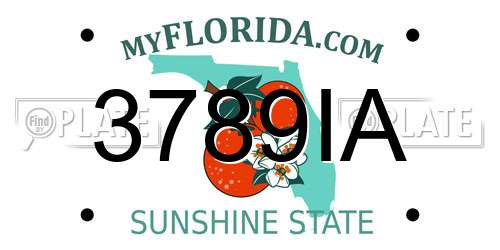 3789IA Florida License Plate