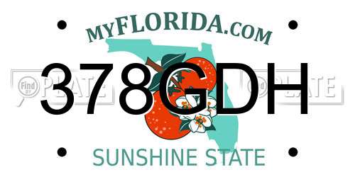 378GDH Florida License Plate