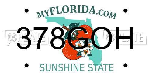 378GOH Florida License Plate
