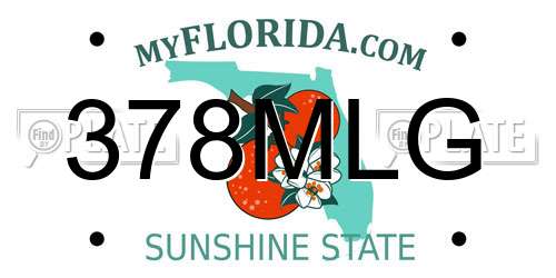 378MLG Florida License Plate