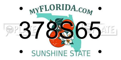 378S65 Florida License Plate