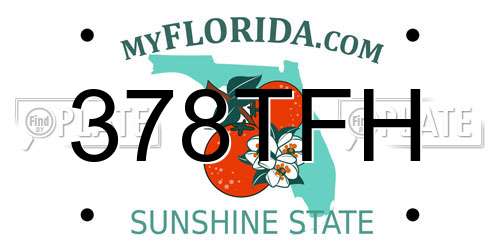 378TFH Florida License Plate