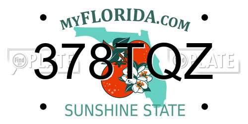 378TQZ Florida License Plate