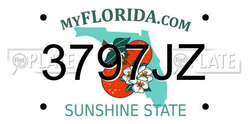 3797JZ Florida License Plate