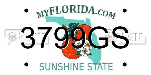 3799GS Florida License Plate