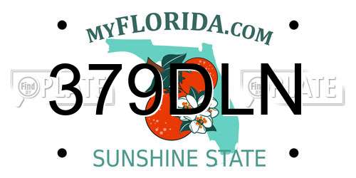379DLN Florida License Plate
