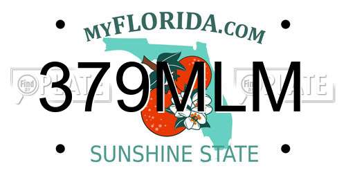 379MLM Florida License Plate