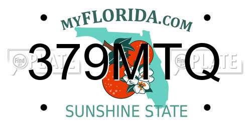 379MTQ Florida License Plate