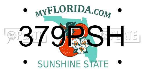 379PSH Florida License Plate
