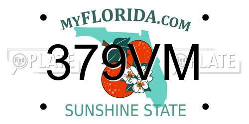 379VM Florida License Plate