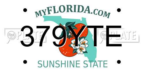 379YTE Florida License Plate