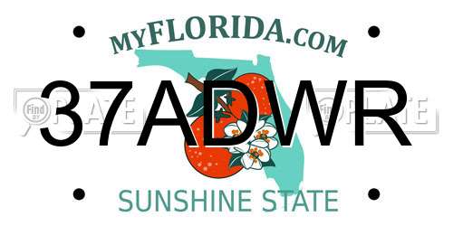 37ADWR Florida License Plate