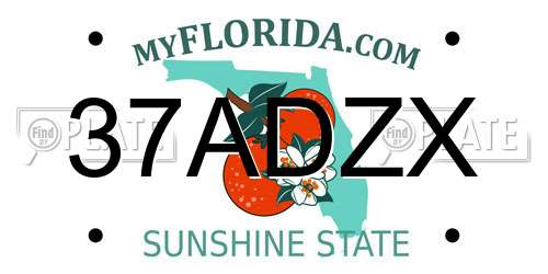 37ADZX Florida License Plate