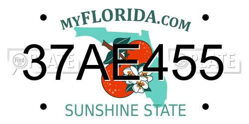 37AE455 Florida License Plate