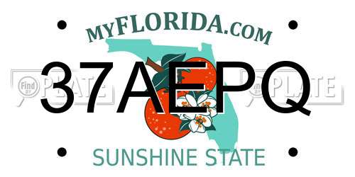 37AEPQ Florida License Plate