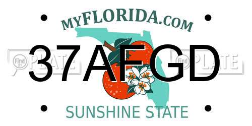 37AFGD Florida License Plate