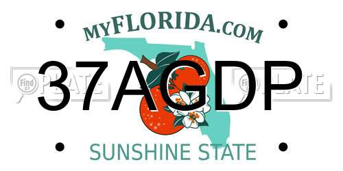 37AGDP Florida License Plate