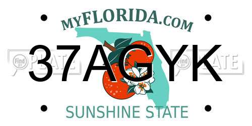 37AGYK Florida License Plate
