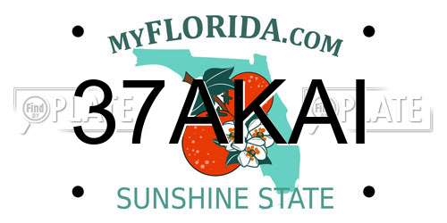 37AKAI Florida License Plate