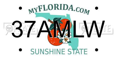 37AMLW Florida License Plate