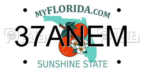 37ANEM Florida License Plate