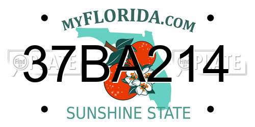 37BA214 Florida License Plate