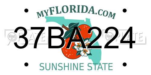 37BA224 Florida License Plate