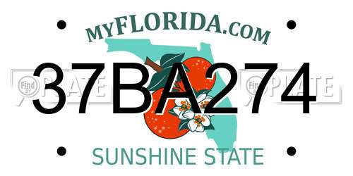 37BA274 Florida License Plate